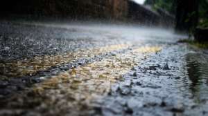 Stormwater grant