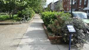 Tb Pwd Stormwater Planter