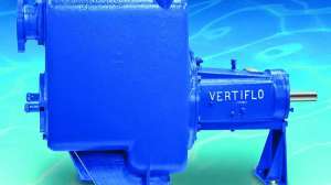 Veriflo Pump Company 2100 Series