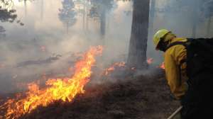 Wildfire contamination