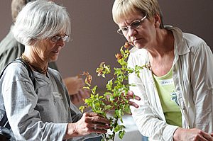 Many Hands Make Light Work