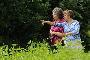 Many Hands Make Light Work