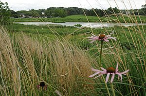 Many Hands Make Light Work