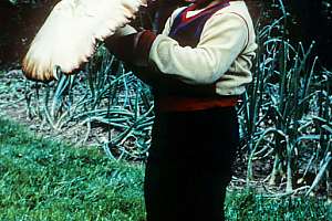 1 stropharia 171030 110529