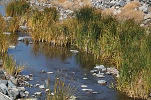 Working on Multiple Fronts