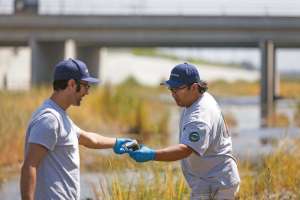 Working on Multiple Fronts