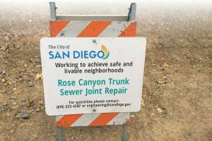 Sewer Rehab in Rose Canyon