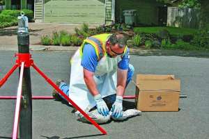 2015 06 23 12 39 27 171031 133059