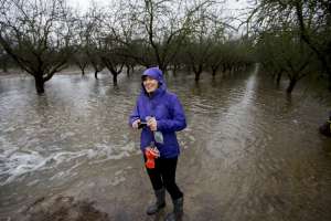 20160119 modesto orchard002 171030 135804