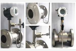 298 244 602vfm 171030 130625