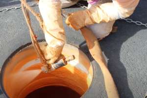Video OBIC lining process