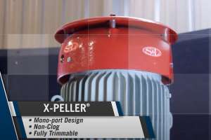 Video X PELLER Big Bear City