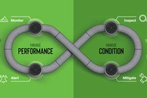 Assessment lifecycle