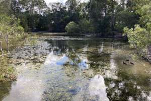 Constructed wetlands