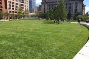 Img 2276 171030 140045