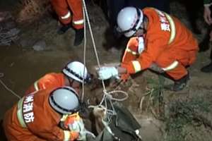 Screen Shot 2015 12 17 At 1 37 15 Pm