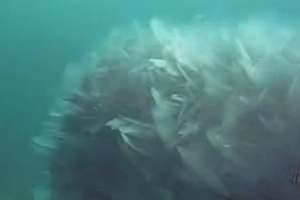 Frazil ice lake michigan intake 171030 130602