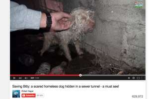 Screen shot 2015 03 09 at 8 02 50 am 171030 090026