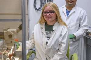 MSU Insects PFAS