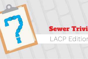 LACP social quiz graphics