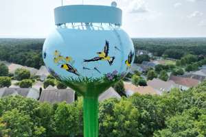 Sea Oaks Water Tower
