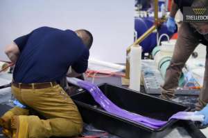 WWETT2017 Trelleborg