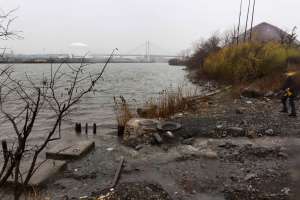 Wait Campaign Ny Times