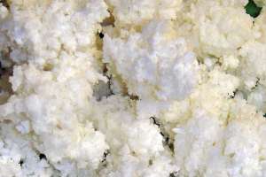 New Technology Slated for WEFTEC 2013