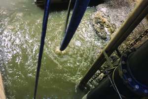 Eliminating Lift Station Grease