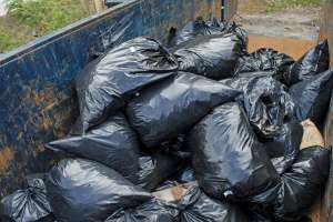 Maine Stream Cleanup