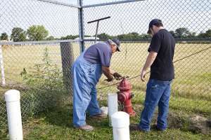 Alliance 0001 171031 135317