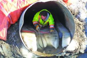 Ap m permaform case study 171031 131327