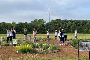 Native Garden Promotes Conservation