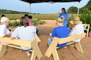 Native Garden Promotes Conservation