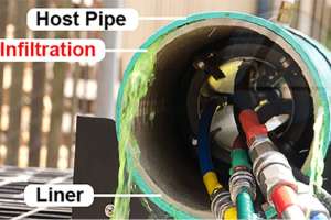 Avanti International Av 100