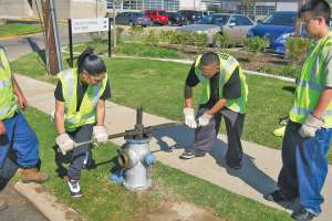 Barbara Cardwell Pics 017