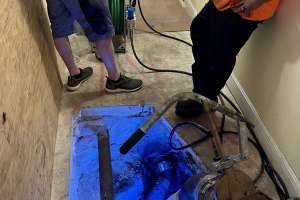 Brawo systems case study