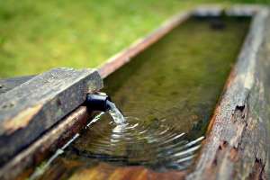 Cali water resiliency