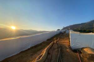 Carboline case study