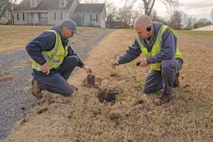 Cherry Murfressboro 16