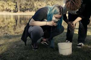 Working for Water