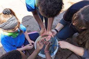 Colosprings2 250715 154433