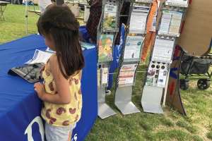 Davis Conservation Game