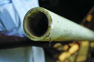 CIPP Technology Improves Collections System