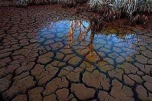 Drought 171030 134018