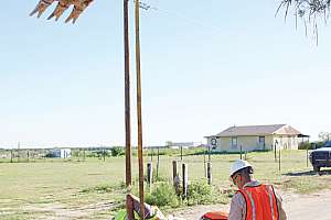 Dsc02258 171031 135125