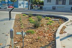 Green Stormwater Initiatives Make Silicon Valley an Industry Leader