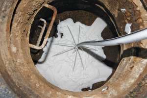 Duke Ys root control case study