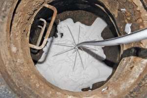 Dukes root control case study 171031 130901