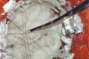 Chemical and Mechanical Root Control